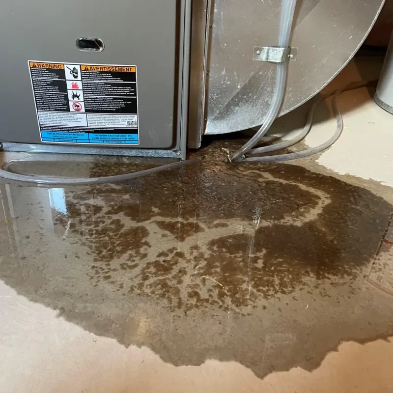 Appliance Leak Cleanup in Franconia, VA